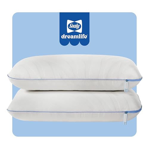 2 Pack Queen Size Memory Foam Cooling Pillows with Surface Guard Tech