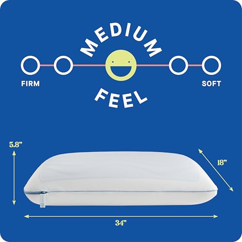 Sealy Dreamlife King Size Cooling Gel Memory Foam Pillow with Washable Cover
