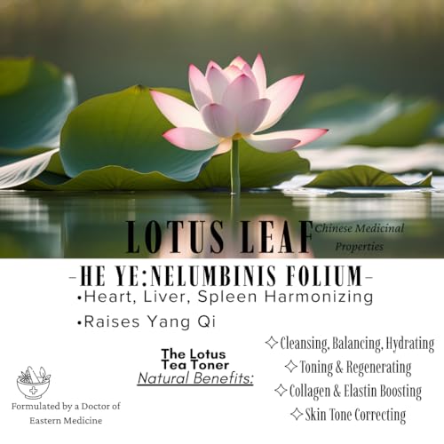 Organic Lotus Tea Toner - Vitamin C and Ferulic Acid - Evens Skin Tone and Brightens Complexion