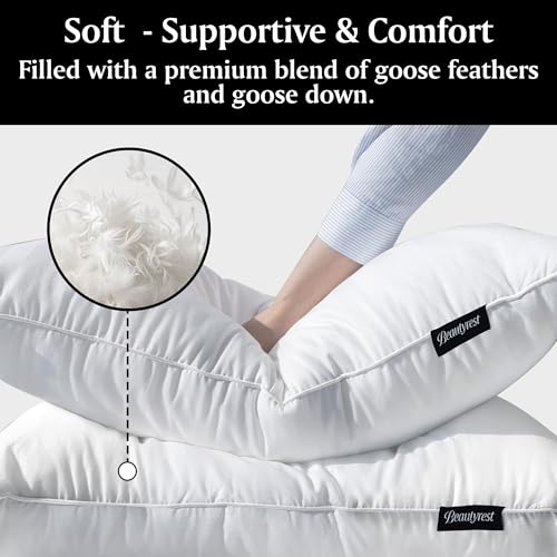 Beautyrest Queen Feather & Down Pillow Set - 2 Pack, Hypoallergenic, Cotton Cover