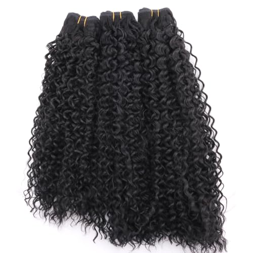 REYNA 24 Inch Afro Kinky Curly Synthetic Hair Extensions - 3 Bundles, Natural Black, Model 1B#
