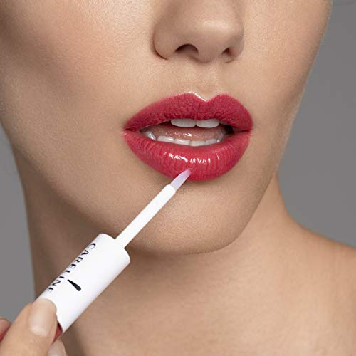 Lip Color Everlast #719 Light Berry - 1 Count, Long-Wear Lipstick & Gloss Set