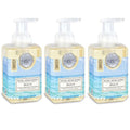 Beach Foaming Hand Soap with Shea & Aloe - 17.8 Fl oz, Pack of 3 - Michel Design Works