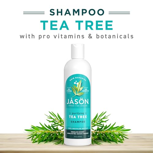 Jason Tea Tree Shampoo 12 oz