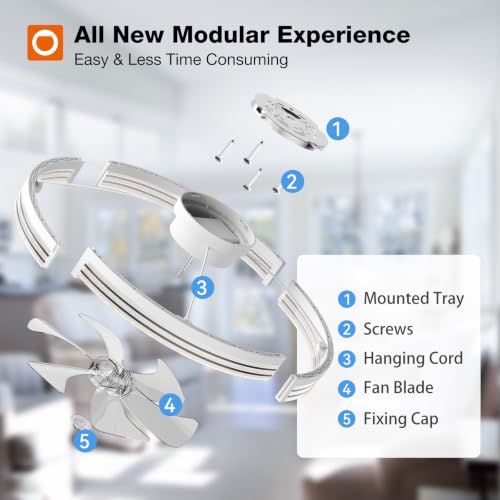 White 24-Inch Ceiling Fan with Lights & Remote - Low Profile Fandelier