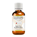 Greenwood Essential Malkangani (Jyotishmati) Oil (Celastrus paniculatus) | Cold Pressed | Natural | For Diluting Essential Oils | Skin & Massage | Unisex | 100ml (3.38 oz)
