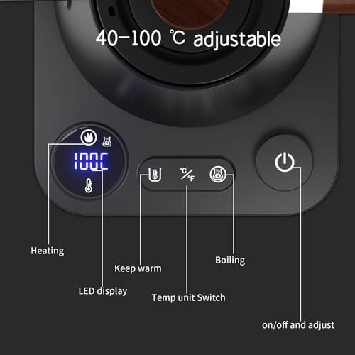 BQEUCE Black 0.9L Gooseneck Electric Kettle, Precise Temperature Control