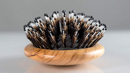 Olive Wood Wild Boar Bristle Hairbrush for Styling & Detangling, Gift Box Included