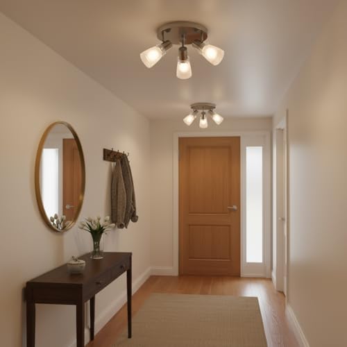 Laite Lumens 10-Inch 3-Light Track Lighting Kit with Adjustable Heads, Brushed Nickel Finish