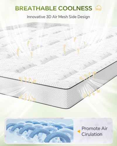 White Queen Mattress Topper 3 Inch Thick Pillow Top Shredded Memory Foam