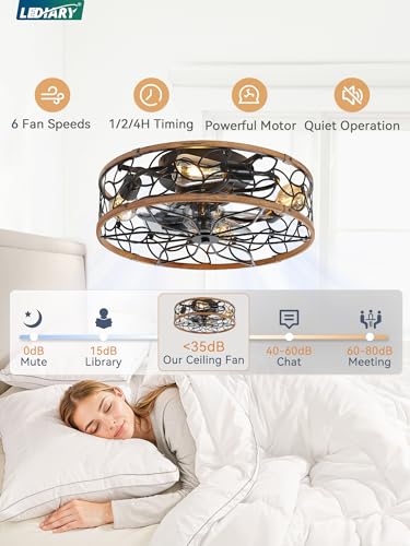 LEDIARY Walnut and Black Caged Ceiling Fan with Light - Flush Mount with Remote - Medium Variation