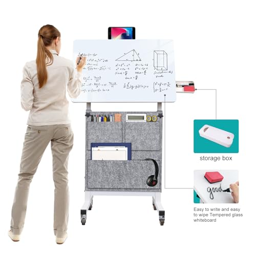 KOUPA 24 Inch Adjustable Height Standing Desk on Wheels with Writable Surface (Bag) - 16x24 in