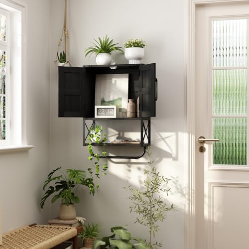 Rustic Farmhouse Wall Medicine Cabinet with Barn Doors - Black
