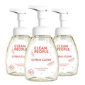 Citrus Clove Liquid Foaming Hand Soap - 8 oz, Pack of 3, Seasonal Scent