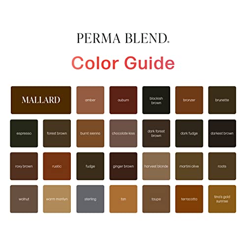 Perma Blend Microblading Tattoo Ink 0.5 oz for Eyeliner & Lip Color
