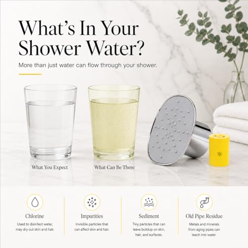 Afina Filtered Shower Head with High Pressure Rainfall - Chrome / Pack of 1