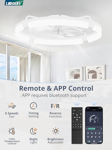 24-Inch Ceiling Fan with Lights - Low Profile Flush Mount with Remote & App Control - White, Variation of THIS listing