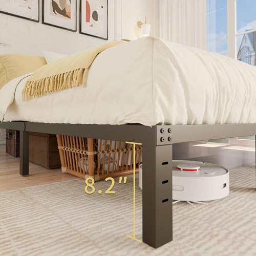 Aldrith 10 Inch Queen Bed Frame Heavy Duty Metal Platform Bed with Noise Reduction