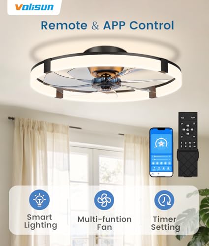 Black 23.6-inch Low Profile Ceiling Fan with Dimmable Light and Remote