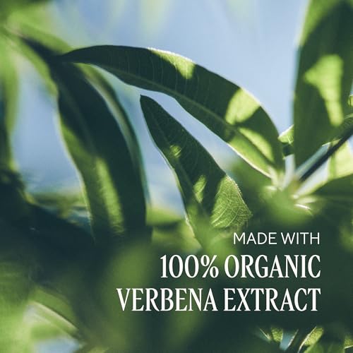 L'Occitane Verbena Hand & Body Lotion - Moisturizing 8.4 Fl Oz