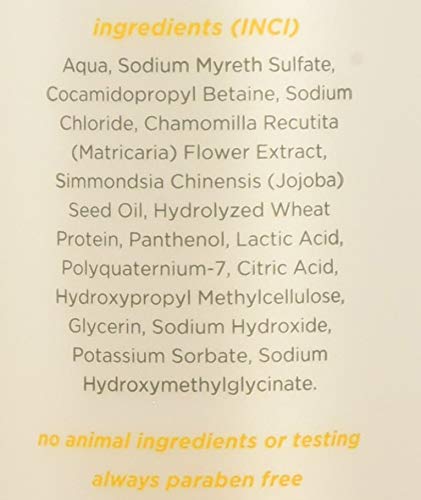 Fragrance-Free Shampoo for Sensitive Scalp & Hair - 12 oz Pack of 2