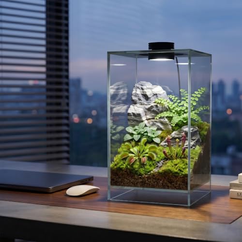 Desktop Glass Plant Terrarium with Adjustable Grow Light for Succulents & Moss
