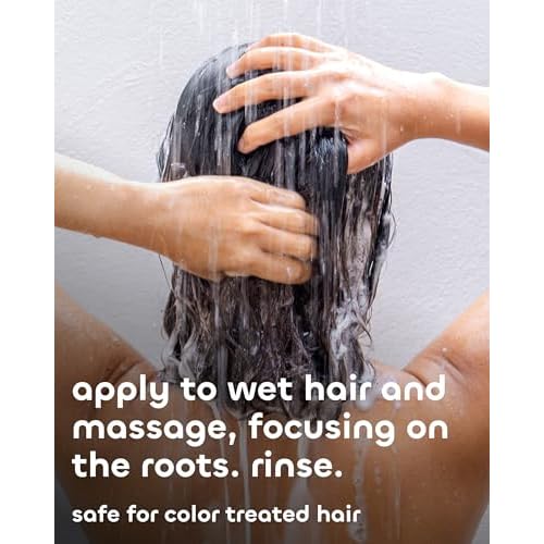 Seaweed Bath Co. Balance Shampoo - Eucalyptus Peppermint - Hydrating Daily Shampoo with Vitamin E, Argan Oil, Coconut Oil - For Normal to Oily Hair - 12 oz