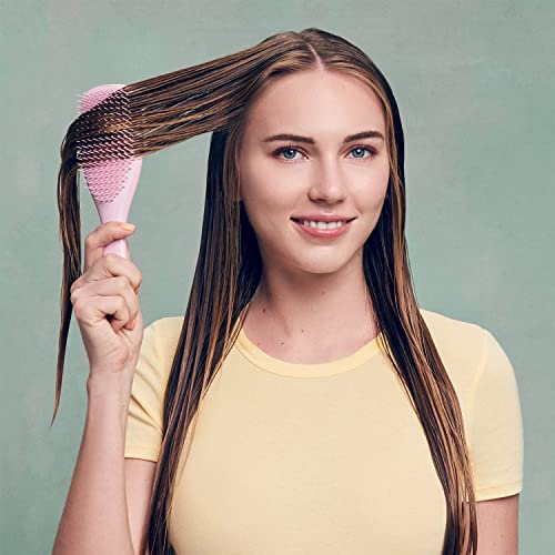 Detangler Hairbrush & Scalp Massager Bundle for All Hair Types - Pink & Purple