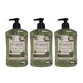 Rosemary Mint Liquid Hand Soap - French Made, Vegan & Biodegradable, 16.9 oz - 3 Pack