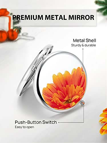 Portable Compact Mirror with 1X/2X Magnification - Silver, 2.5 Inch
