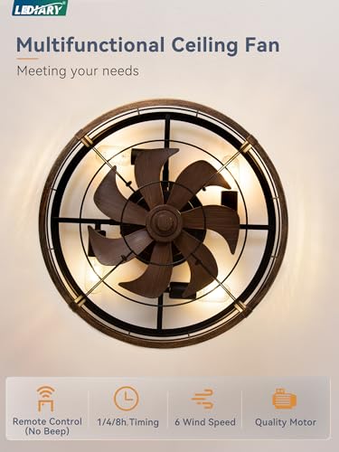 LEDIARY 20-Inch Caged Low Profile Ceiling Fan with Light & Remote - Black & Gold