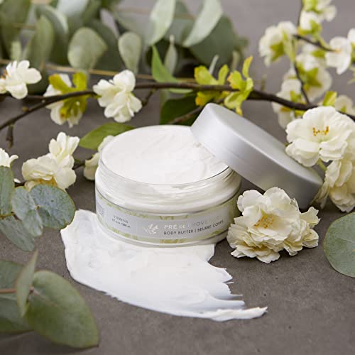 Shea Butter Enriched Body Moisturizer with Verbena Scent - 6.7 Fl Oz