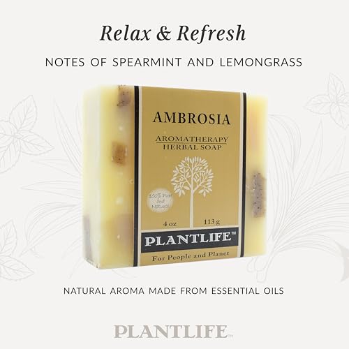 Ambrosia Natural Vegan Bar Soap 6-Pack - Handcrafted 4 oz
