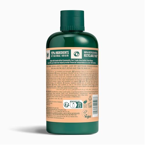 Shea Intense Repair Shampoo for Dry Damaged Hair 8.4 Fl Oz - The Body Shop