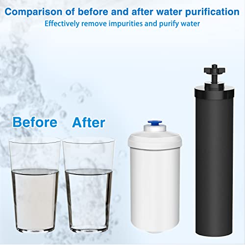 DTESL 4 Black & 4 Fluoride Water Filter Replacement Set for Ber-key BB9-2 & PF-2 Systems