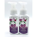 Bath and Body Works Gentle Foaming Hand Soap, Black Cherry Merlot 8.75 Ounce (2-Pack)