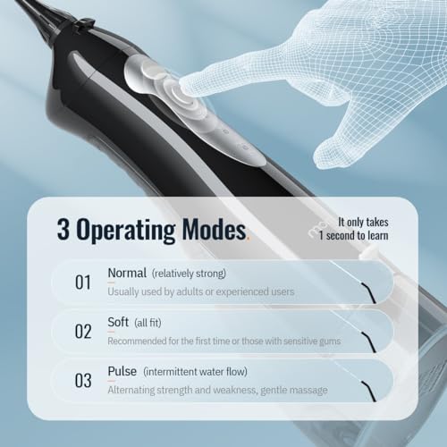 Mornwell Water Dental Flosser Black D with 300ML Tank & 6 Jet Tips
