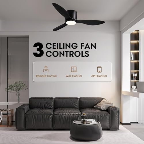 LUDOMIDE 42 Inch Black Ceiling Fan with Lights, Remote & Wall Control, Dimmable, Reversible Motor, Indoor Flush Mount