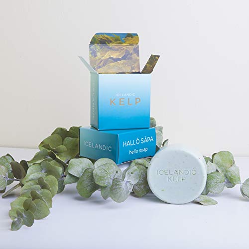 Exfoliating Soap Bars Set of 2 - Natural Icelandic Kelp & Moss Scents