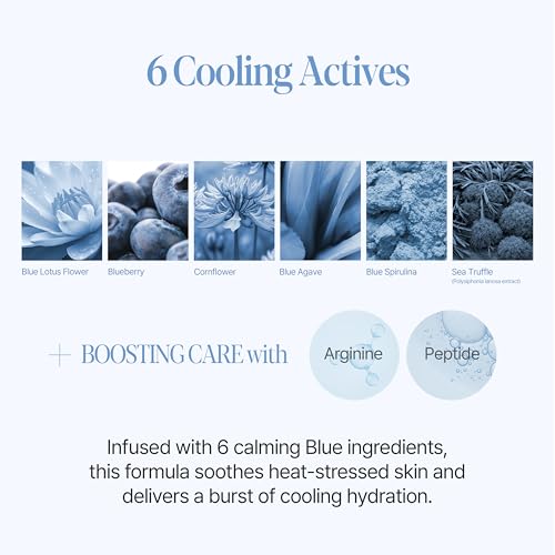 ESPOIR Be Velvet Sebum Control Cushion - Mattifying Pore-Blurring Primer