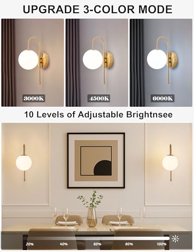 Battery Operated Gooseneck Wall Sconces - Brushed Gold Globe Glass Set of 2 - Gooseneck Variation