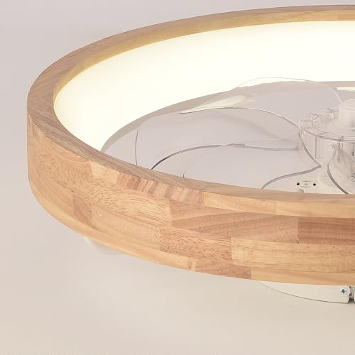 Curve Curio 20-Inch Modern Low Profile Wood Ceiling Fan with Light & Remote