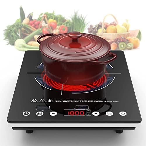 Portable Electric Cooktop 110V Single Burner with LED Touch Control 9 Power Levels