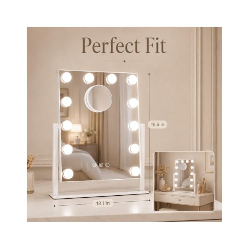 Makeup Mirror with Lights 10X Magnification 16.5 x 13.1 inch - Homtang