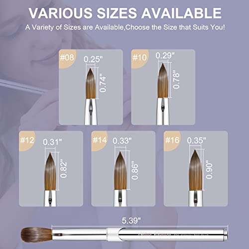 2Pcs Acrylic Nail Art Brush Size 10, 100% Pure Kolinsky Hair Oval Nail Brush for Acrylic Application, Professional Nail Extension Manicure Tool Striping Nail Drawing Pen for Home Salon