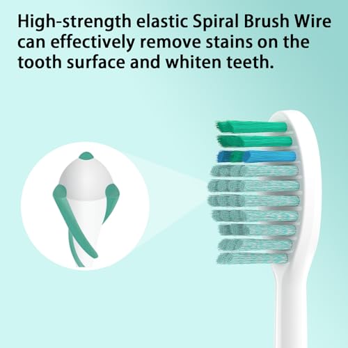 YMPBO Green Toothbrush Replacement Heads for TAO Clean UV Sanitizing Sonic Toothbrush - 10 Pack