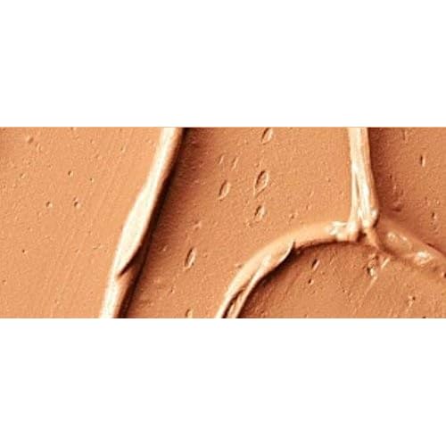 MAC Pro Full Coverage Foundation NC45