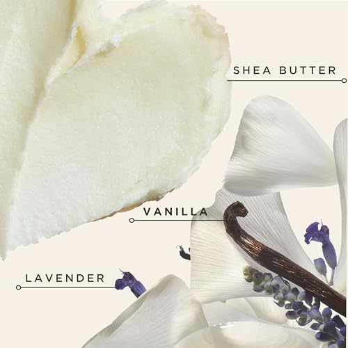 Carol's Daughter Black Vanilla Moisture Sulfate-Free Conditioner 12oz Pack of 2 for Curly & Dry Hair