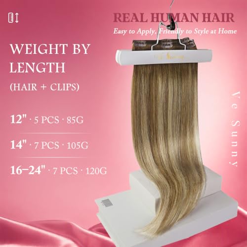 Clip-In Hair Extensions Balayage Human Hair 18 Inch Sunset Grove Chestnut Mix