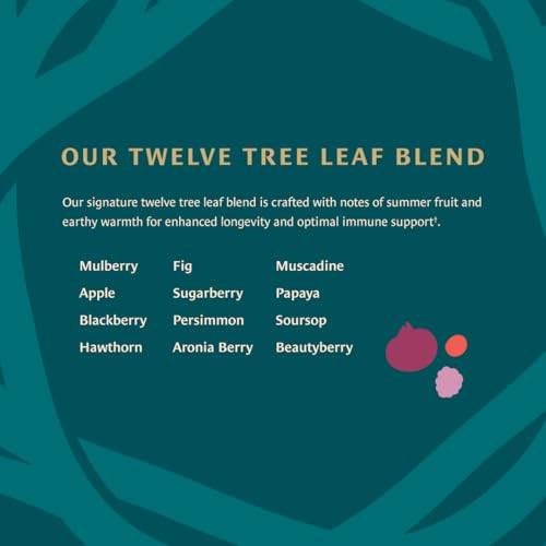 Healing Leaves Longevity Blend Loose Leaf Tea - Organic Fruit Tree Leaves, Caffeine-Free, 30 Servings
